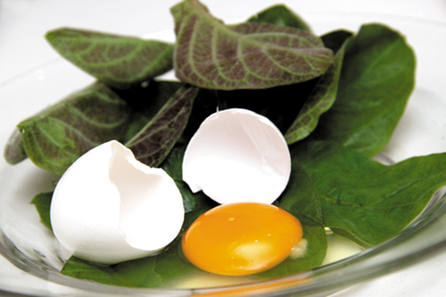 Trứng gà là một trong những thực phẩm bổ dưỡng được nhiều người sử dụng. Ảnh minh họa.
