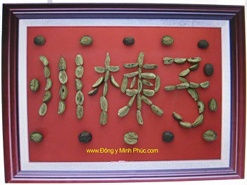 XUYÊN LUYỆN TỬ XUYÊN LUYỆN TỬ
